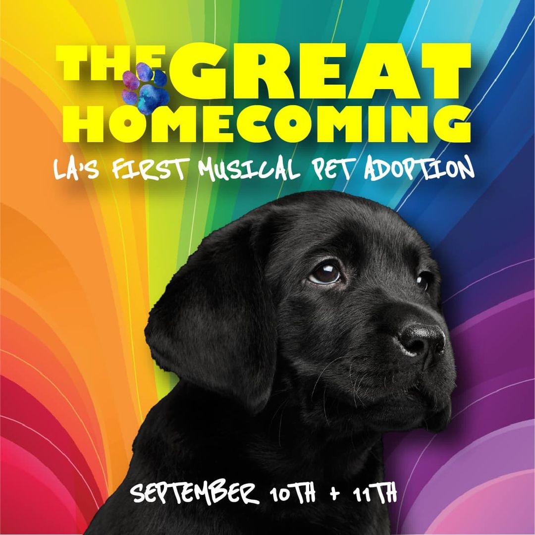 The Great Homecoming: Musical Pet Adoption Event